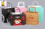 Free charge sample with Customized Paper Shopping Bag