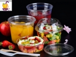 Biodegradable Salad Lunch Box Wholesale Plastic Food Storage